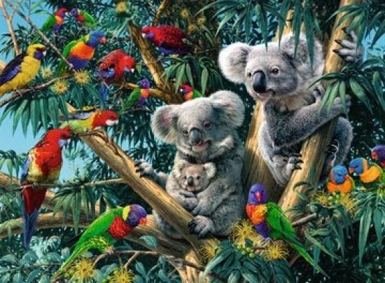 Ravensburger: Koalas in a Tree: 500 Piece Puzzle