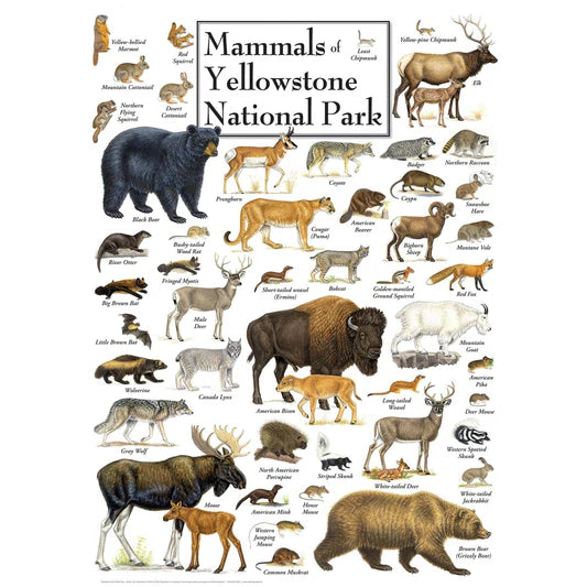 Master Pieces: Mammals of Yellowstone National Park: 1000 Piece Vertical Puzzle