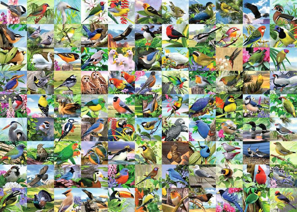 Ravensburger: 99 Delightful Birds: 300 Large Piece Puzzle
