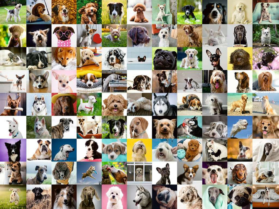 Ravensburger: 99 Lovable Dogs: 750 Large Piece Puzzle