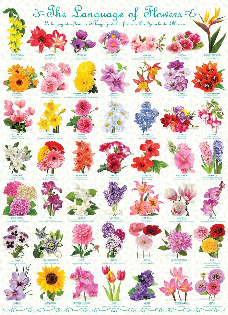 EuroGraphics: The Language of Flowers: 1000 Piece Puzzle