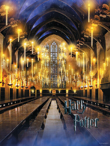 Wizarding World Harry Potter Great Hall Puzzle USAOPOLY: Harry
