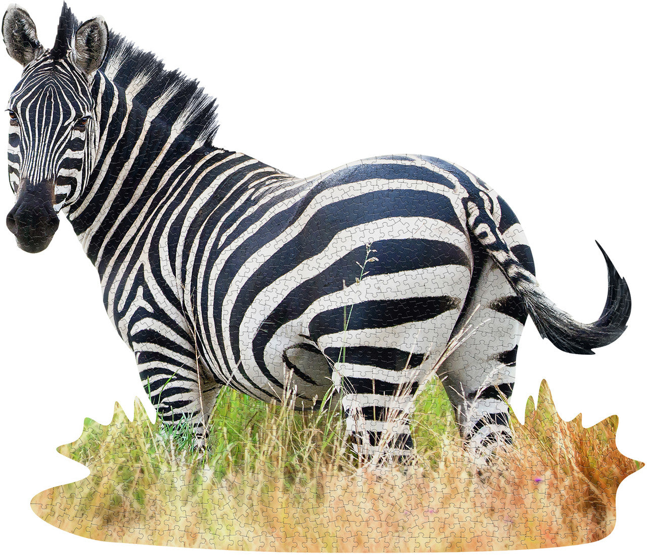 1000 Piece Shaped Jigsaw Puzzle - I Am Zebra | Madd Capp – Puzzled