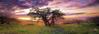 Panoramic Puzzles