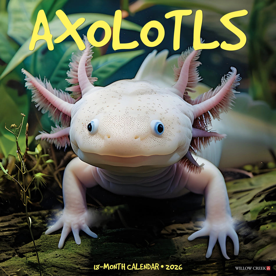 Willow Creek: Axolotls: 2026 12 x 12 Wall Calendar