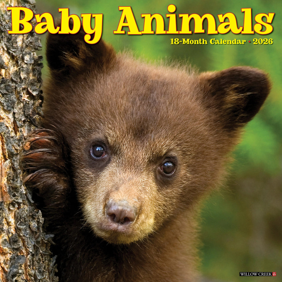 Willow Creek: Baby Animals: 2026 12 x 12 Wall Calendar