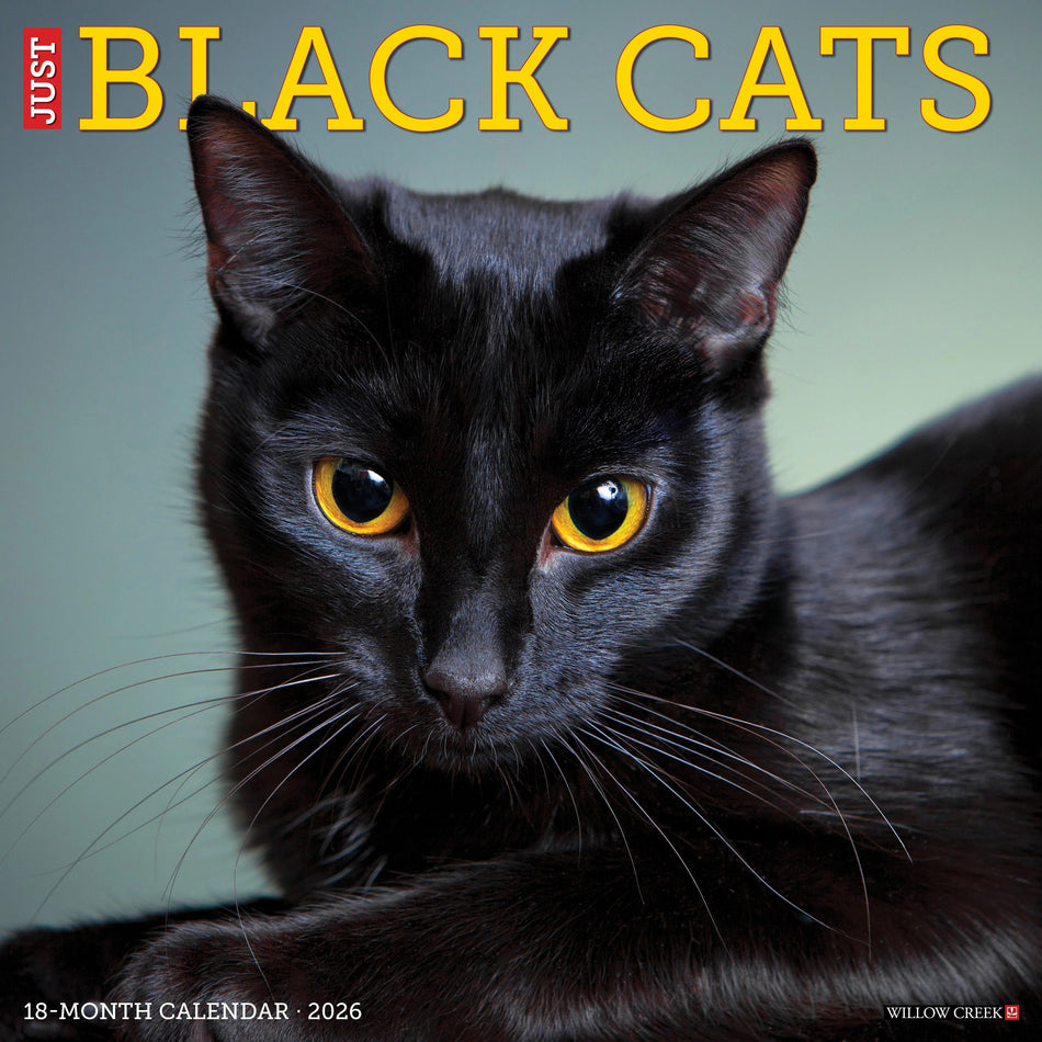 Willow Creek: Just Black Cats: 2026 12 x 12 Wall Calendar