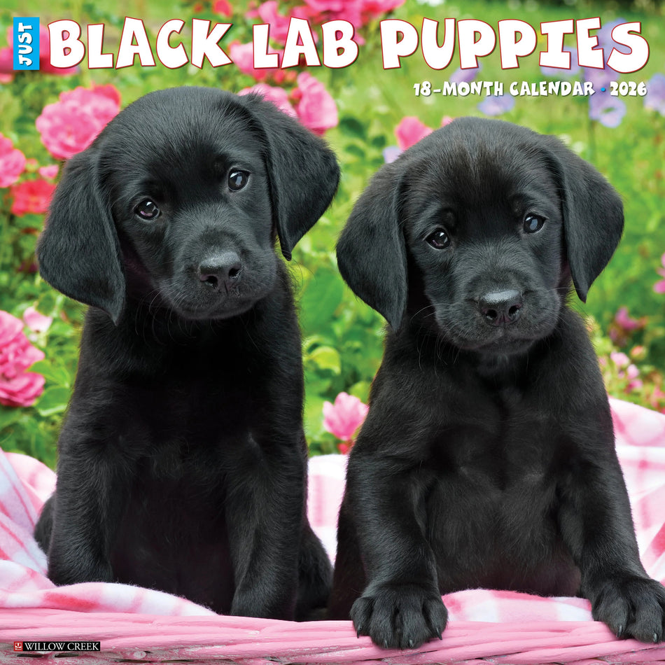 Willow Creek: Black Lab Puppies: 2026 12 x 12 Wall Calendar