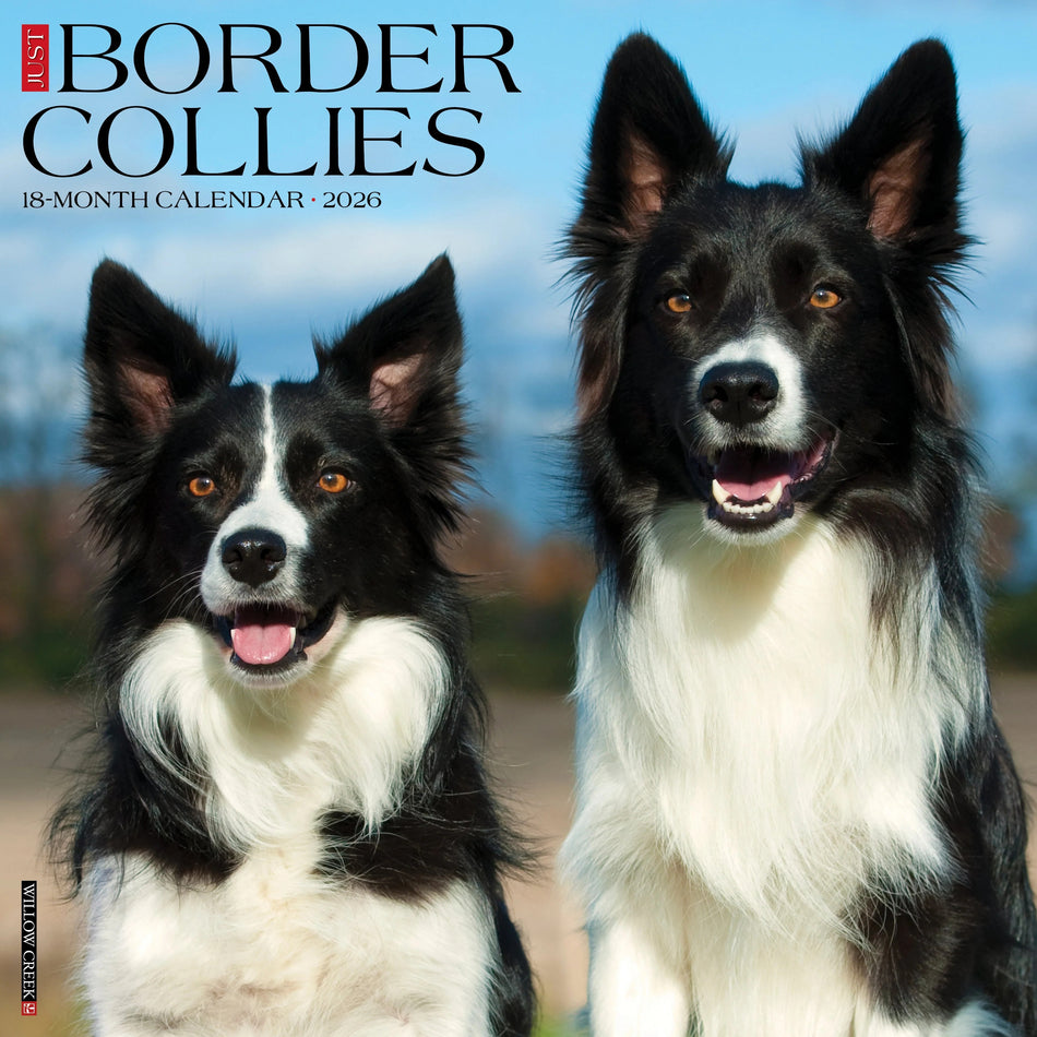 Willow Creek: Just Border Collies: 2026 12 x 12 Wall Calendar