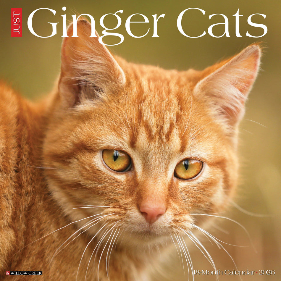 Willow Creek: Just Ginger Cats: 2026 12 x 12 Wall Calendar
