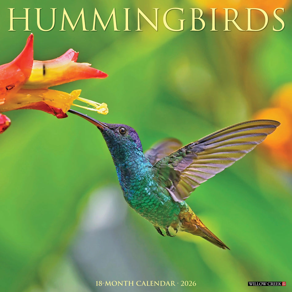 Willow Creek: Hummingbirds: 2026 12 x 12 Wall Calendar