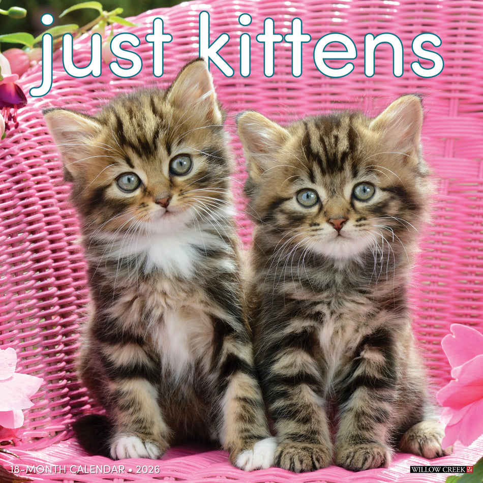 Willow Creek: Just Kittens: 2026 12 x 12 Wall Calendar