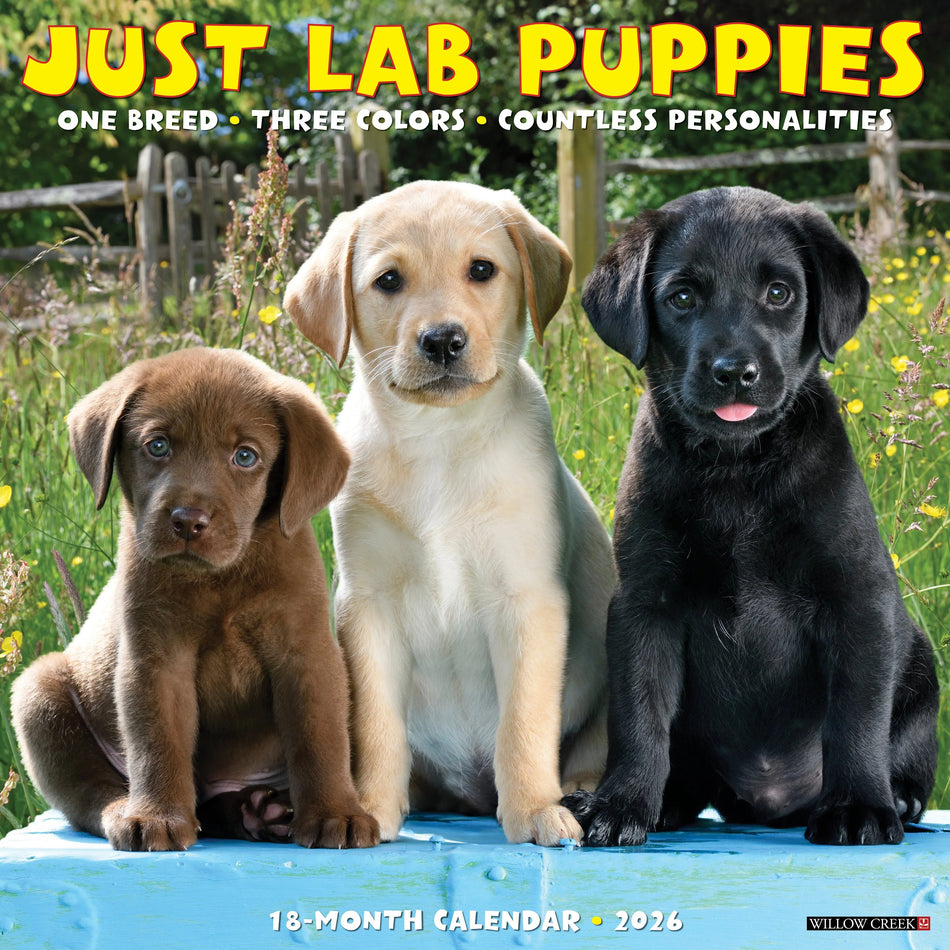 Willow Creek: Just Lab Puppies: 2026 12 x 12 Wall Calendar