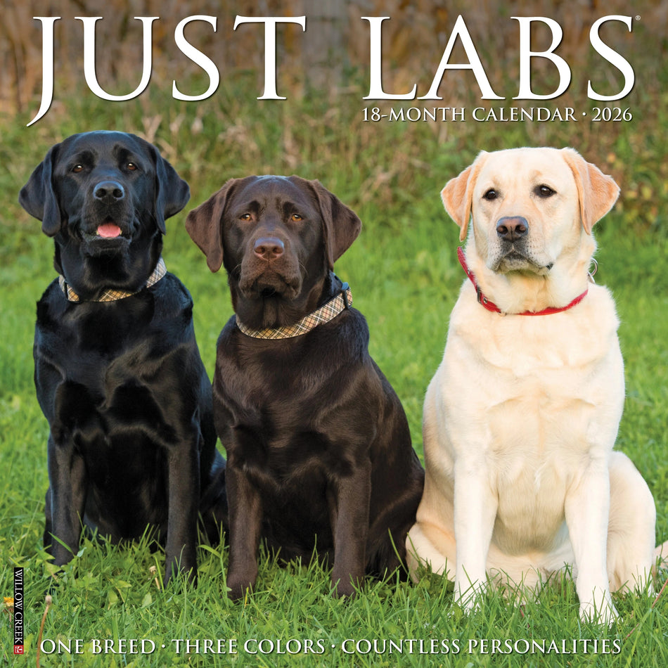 Willow Creek: Just Labs: 2026 12 x 12 Wall Calendar