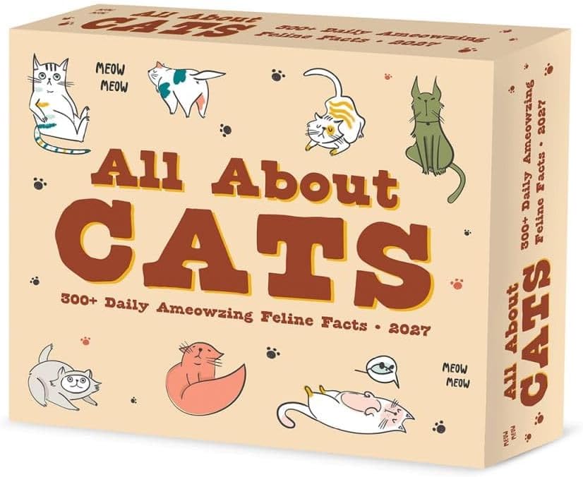 All About Cats - 2027 Box Calendar | Willow Creek Press