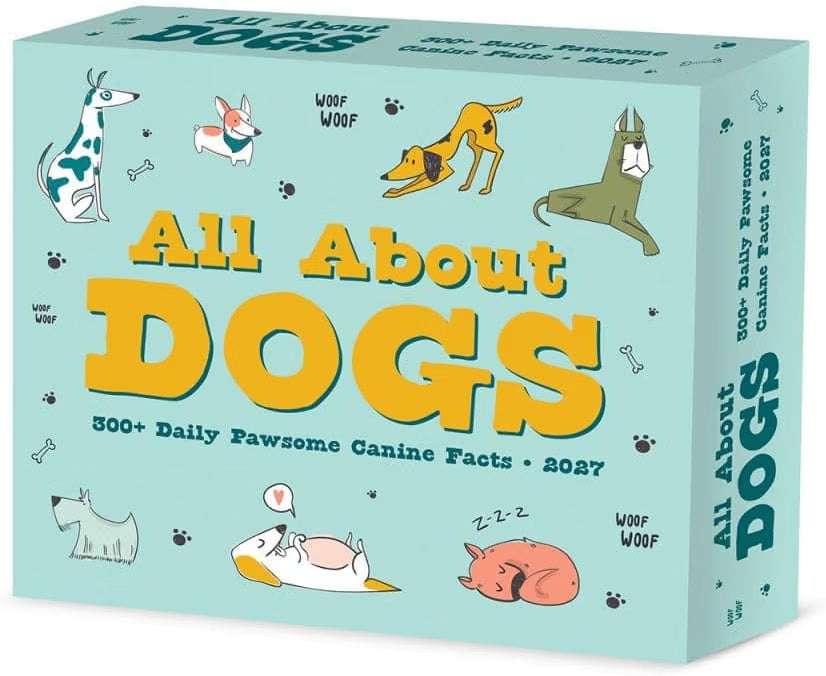 All About Dogs - 2027 Box Calendar | Willow Creek Press