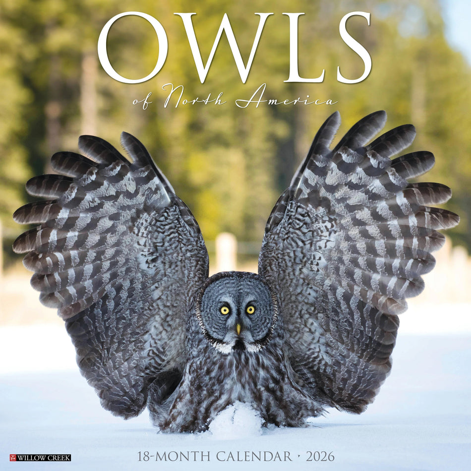 Willow Creek: Owls of North America: 2026 12 x 12 Wall Calendar