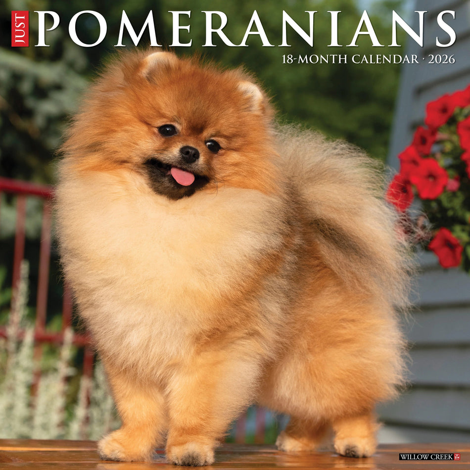 Willow Creek: Just Pomeranians: 2026 12 x 12 Wall Calendar