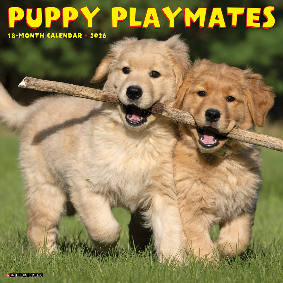 Willow Creek: Puppy Playmates: 2026 12 x 12 Wall Calendar