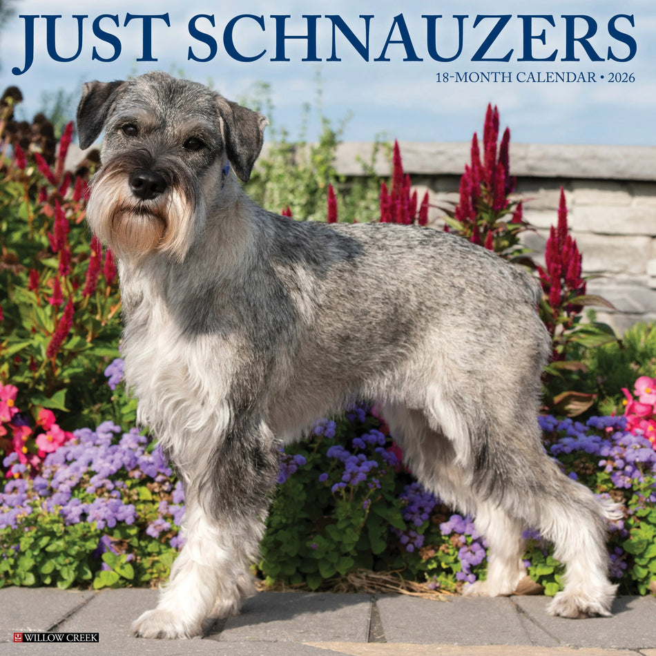 Willow Creek: Just Schnauzers: 2026 12 x 12 Wall Calendar