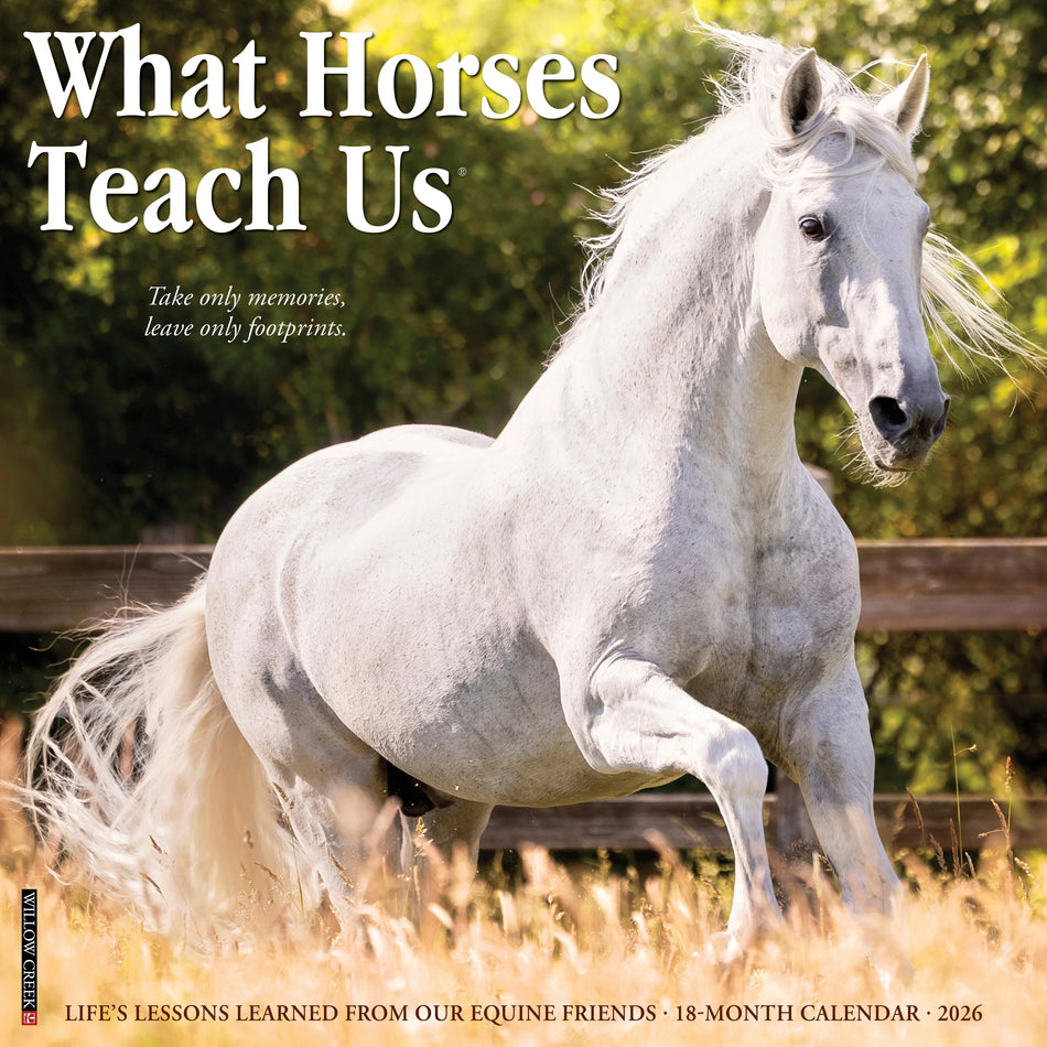 Willow Creek: What Horses Teach Us: 2026 12 x 12 Wall Calendar