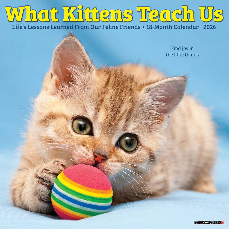 Willow Creek: What Kittens Teach Us: 2026 12 x 12 Wall Calendar