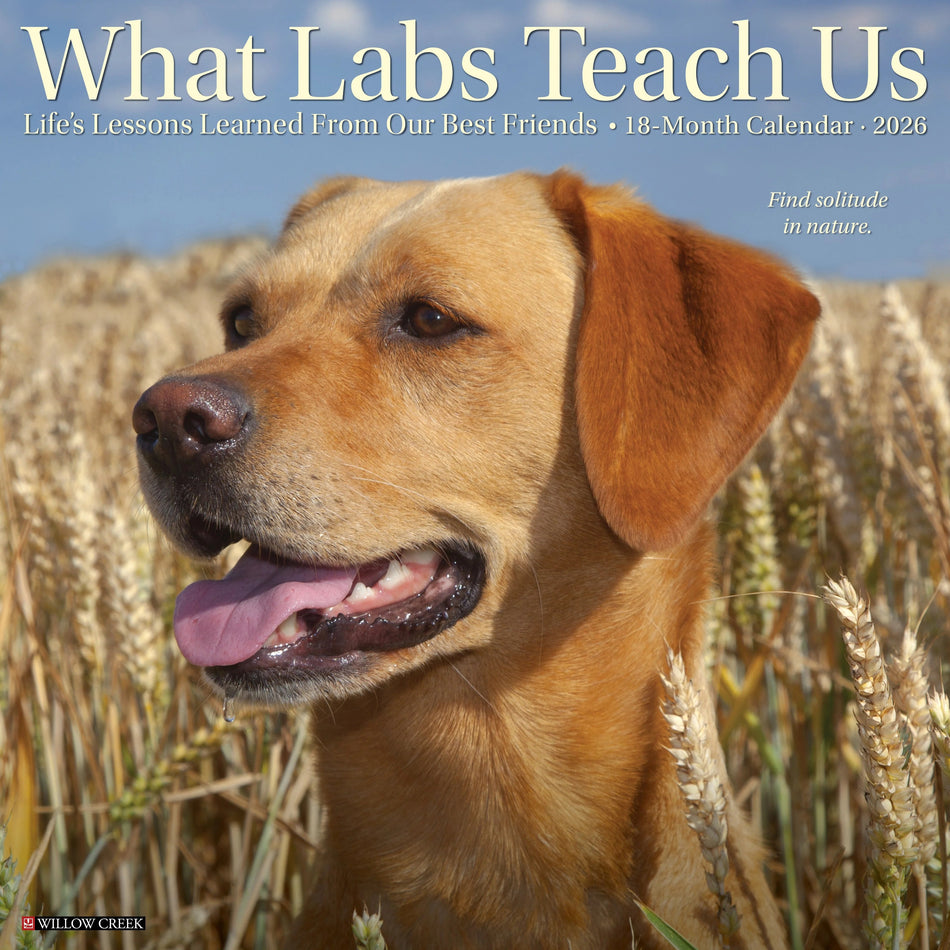 Willow Creek: What Labs Teach Us: 2026 12 x 12 Wall Calendar