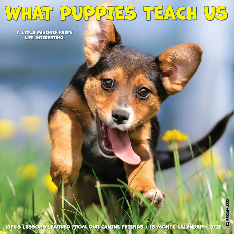 Willow Creek: What Puppies Teach Us: 2026 12 x 12 Wall Calendar