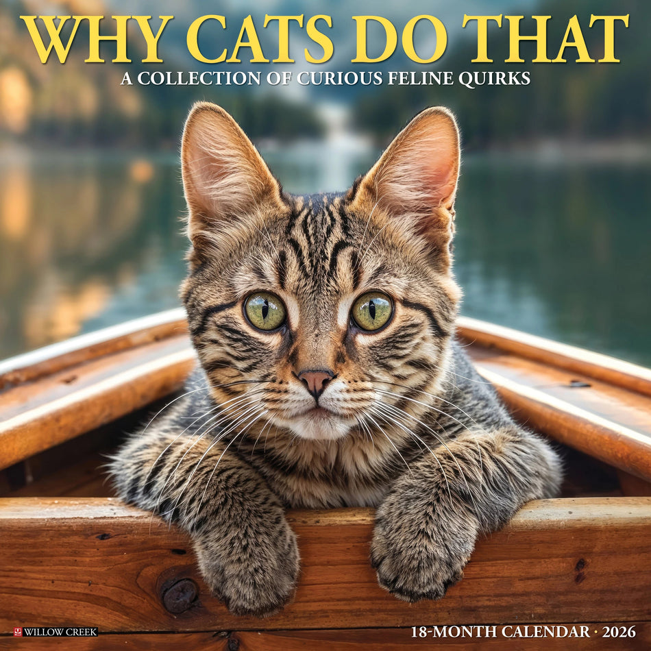 Willow Creek: Why Cats Do That: 2026 12 x 12 Wall Calendar