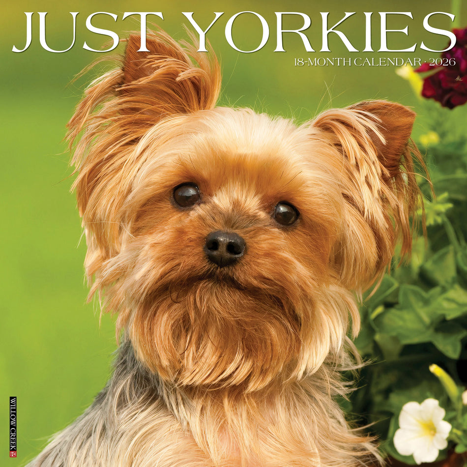 Willow Creek: Just Yorkies: 2026 12 x 12 Wall Calendar