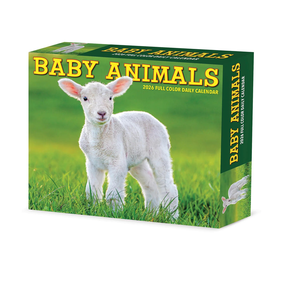 Willow Creek: Baby Animals: 2026 5.86 x 4.72 Inch (Box) Daily Calendar