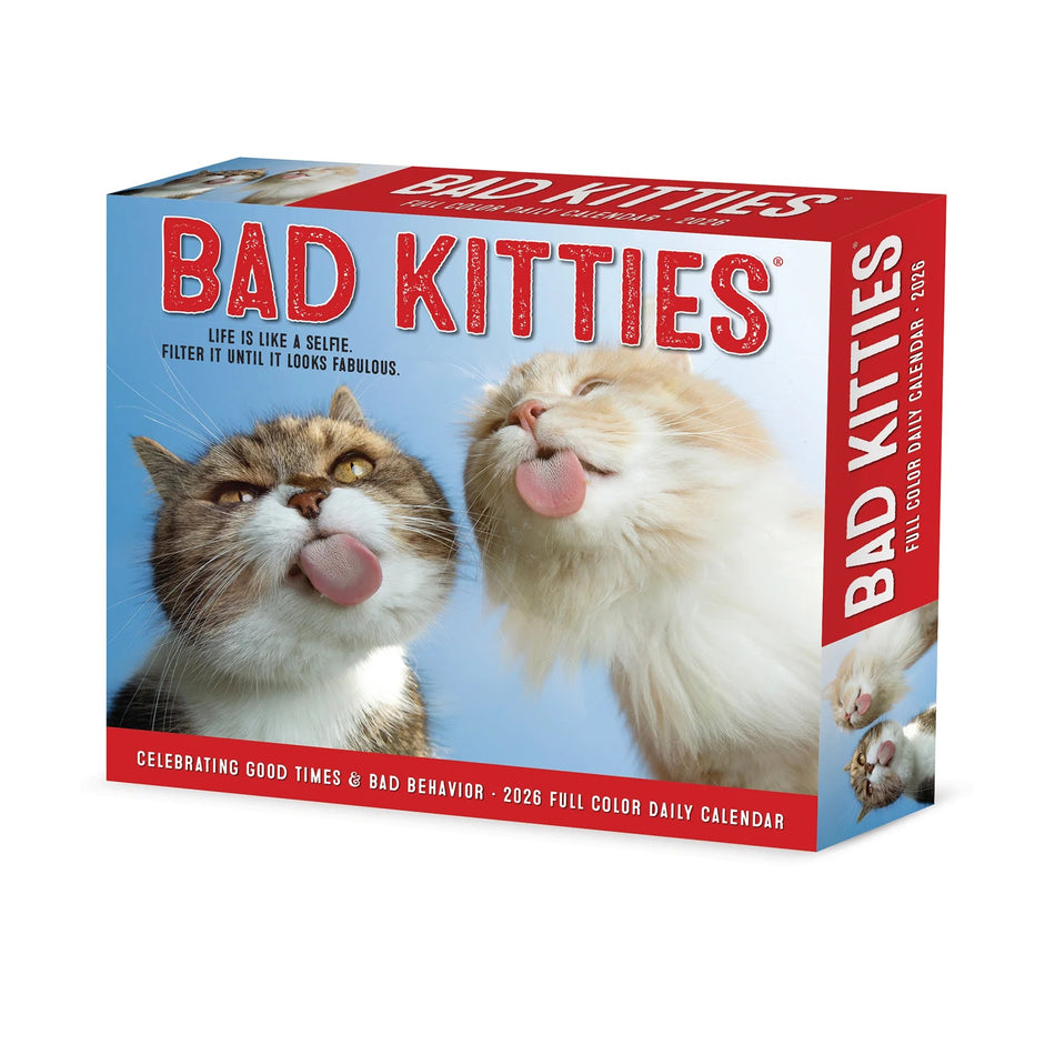 Willow Creek: Bad Kitties: 2026 5.86 x 4.72 Inch (Box) Daily Calendar