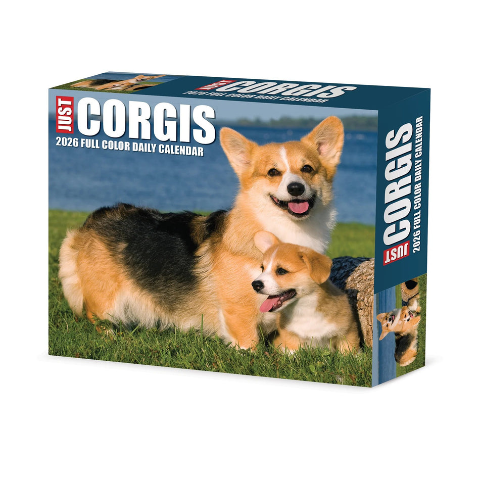Willow Creek: Just Corgis: 2026 5.86 x 4.72 Inch (Box) Daily Calendar