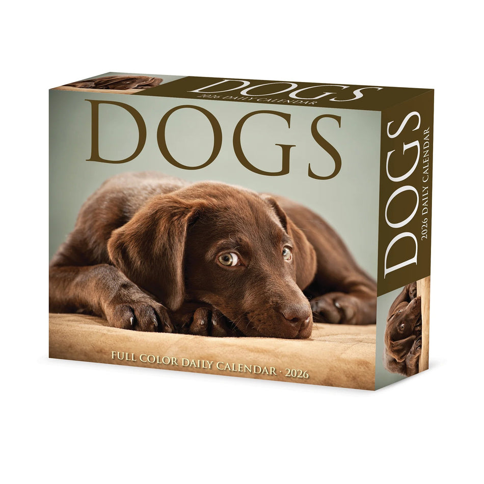 Willow Creek: Dogs: 2026 5.86 x 4.72 Inch (Box) Daily Calendar