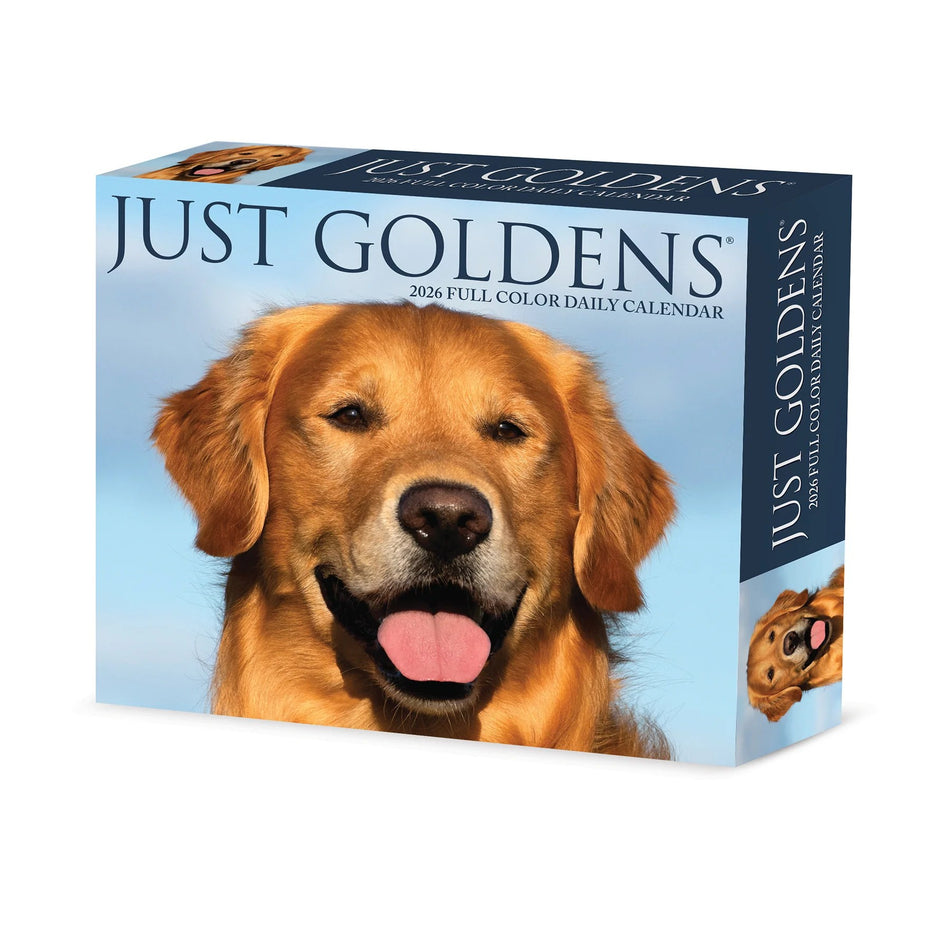 Willow Creek: Just Goldens: 2026 5.86 x 4.72 Inch (Box) Daily Calendar