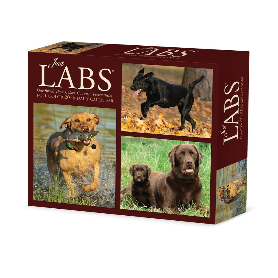Willow Creek: Just Labs: 2026 5.86 x 4.72 Inch (Box) Daily Calendar