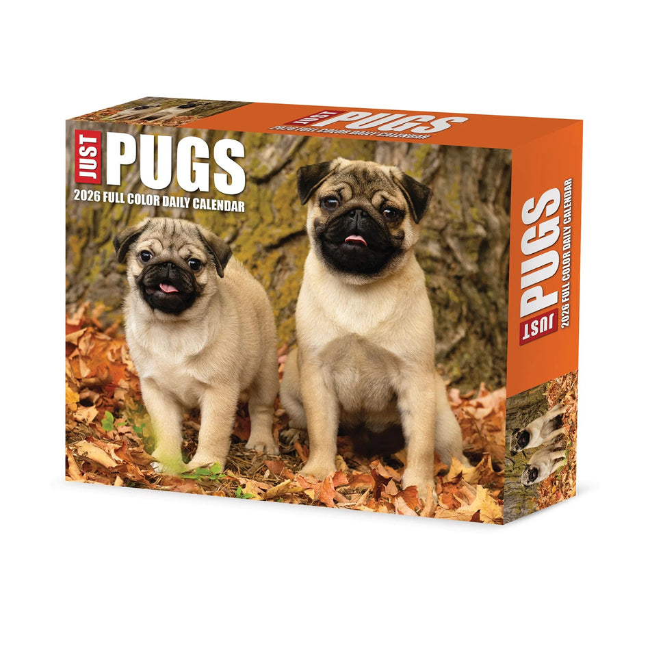 Willow Creek: Just Pugs: 2026 5.86 x 4.72 Inch (Box) Daily Calendar