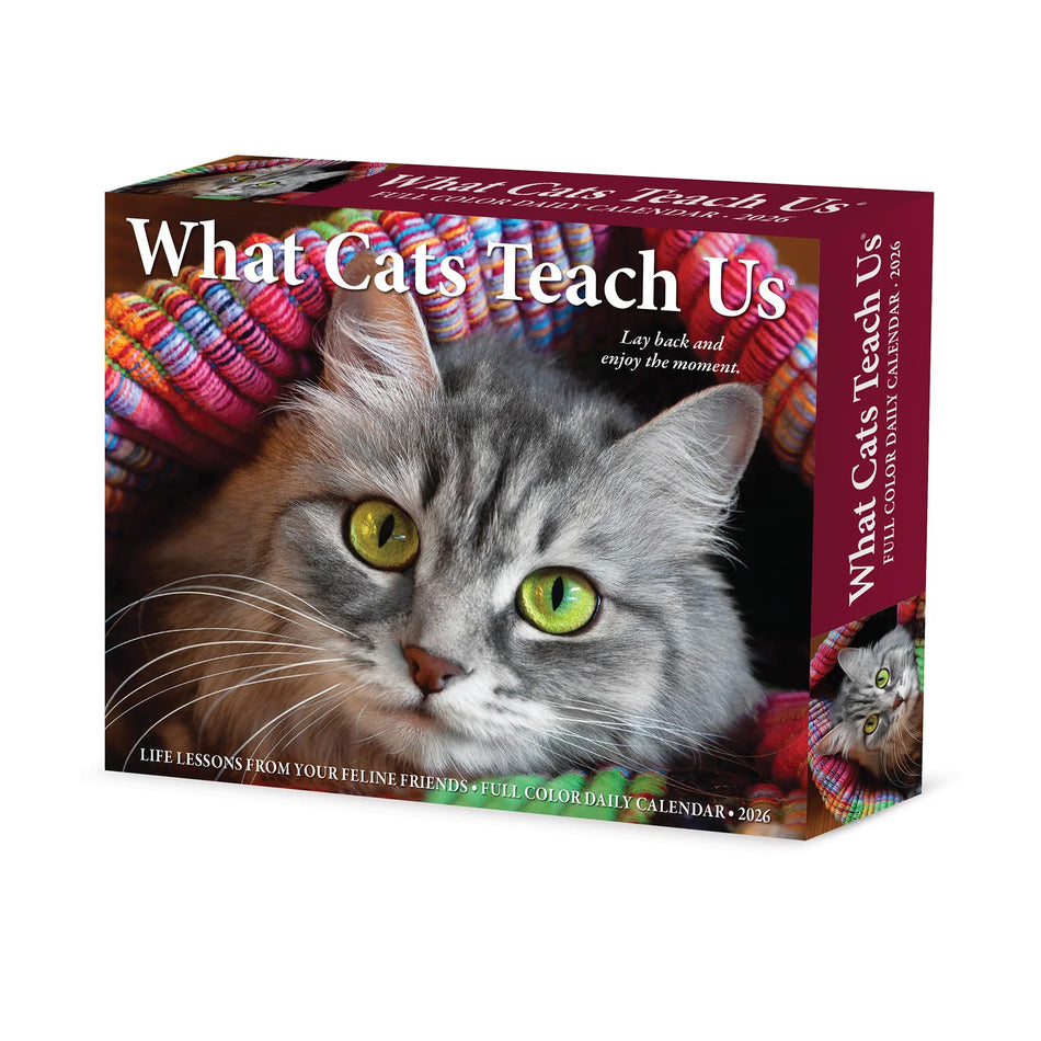 Willow Creek: What Cats Teach Us: 2026 5.86 x 4.72 Inch (Box) Daily Calendar