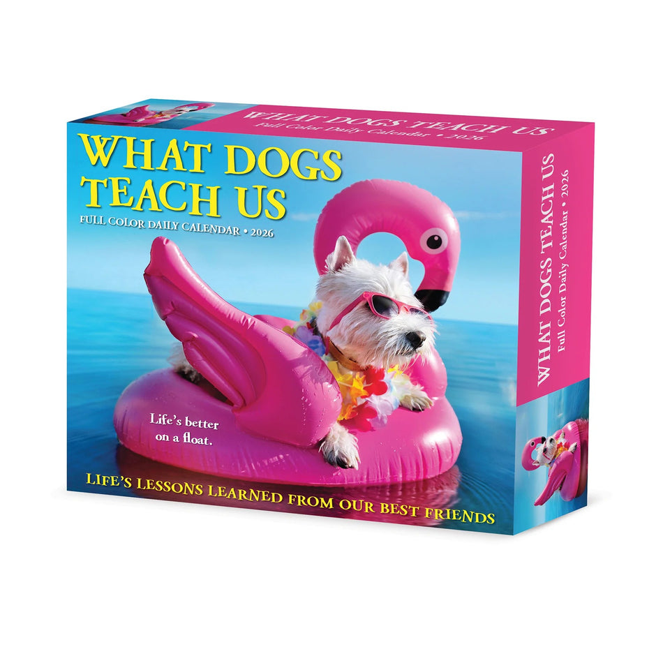 Willow Creek: What Dogs Teach Us: 2026 5.86 x 4.72 Inch (Box) Daily Calendar