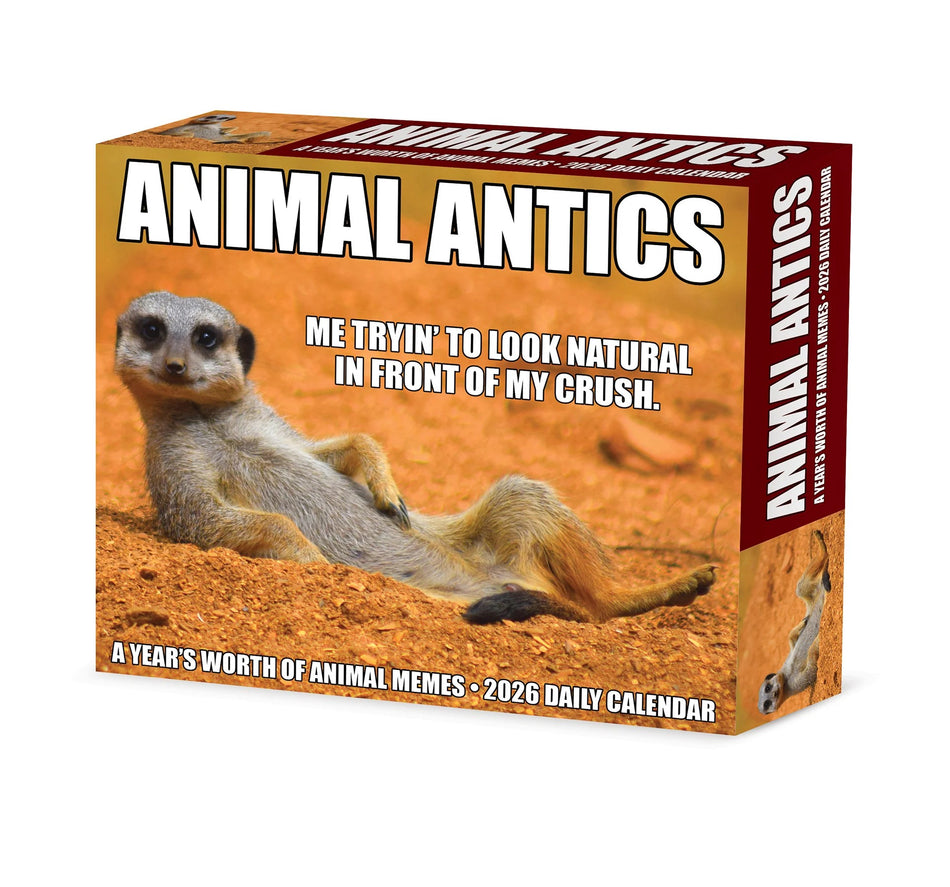 Willow Creek: Animal Antics: 2026 5.86 x 4.72 Inch (Box) Daily Calendar