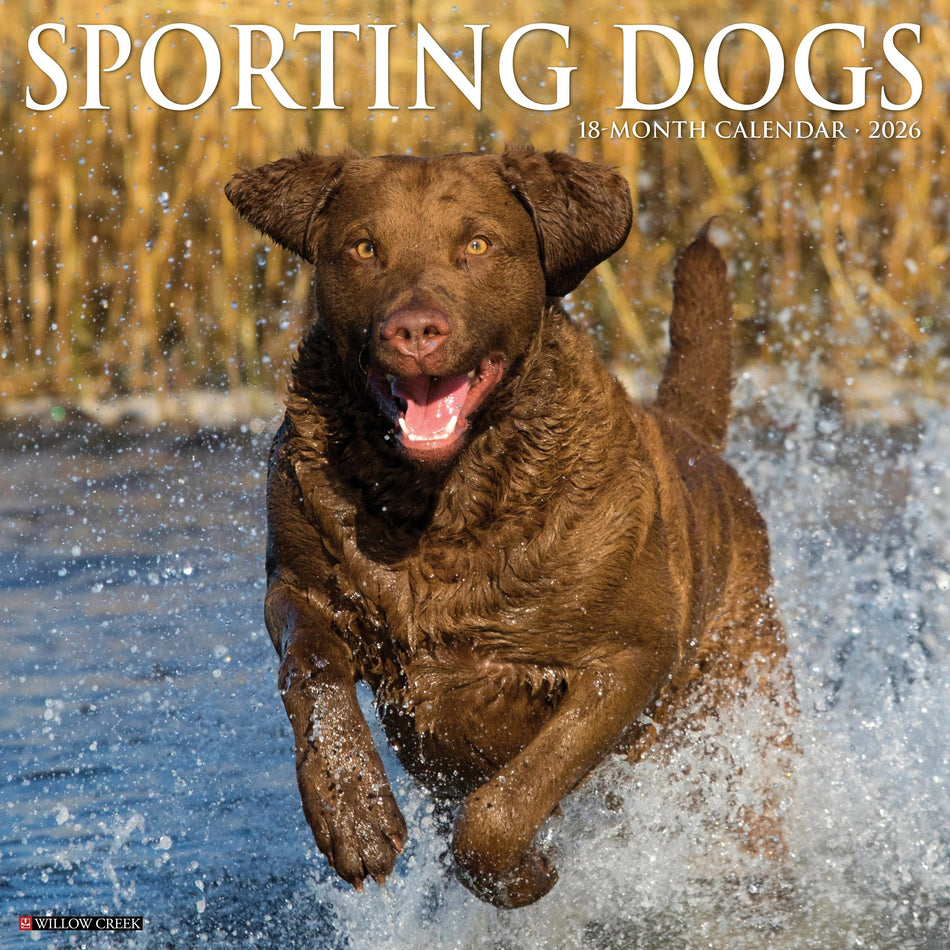 Willow Creek: Sporting Dogs: 2026 12 x 12 Wall Calendar