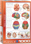 EUROGRAPHICS: The Brain: 1000 Piece Puzzle