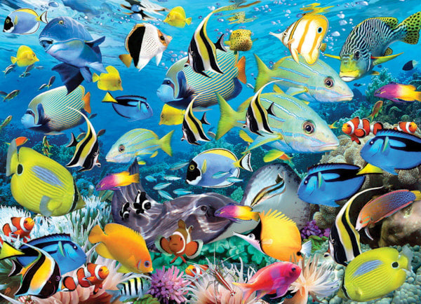 EUROGRAPHICS: Ocean Colors: 1000 Piece Puzzle
