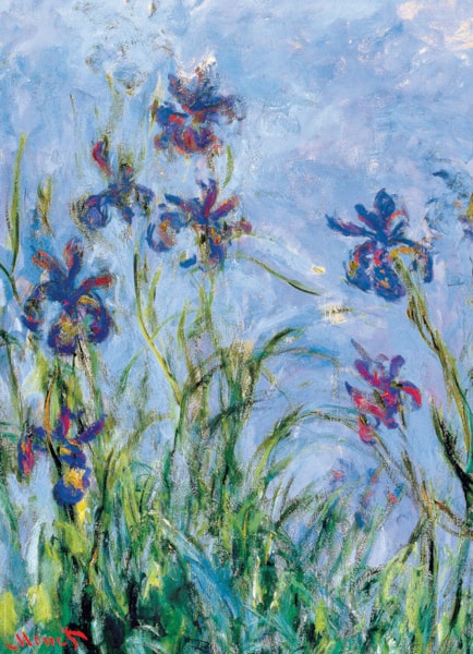 EUROGRAPHICS: Irises: 1000 Piece Puzzle