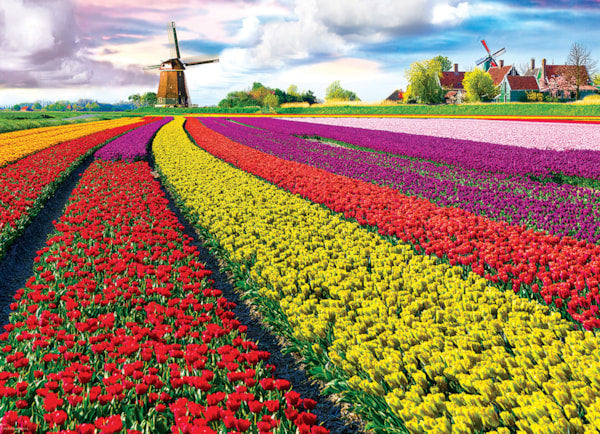 A colorful 1000-piece EuroGraphics puzzle depicting a field of tulips in the Netherlands with a windmill in the background.