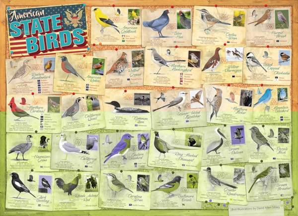 EUROGRAPHICS: State Birds: 1000 Piece Puzzle