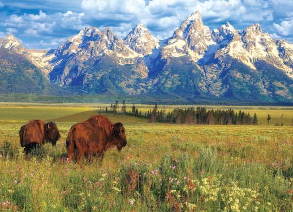 EUROGRAPHICS: Grand Teton National Park: 1000 Piece Puzzle