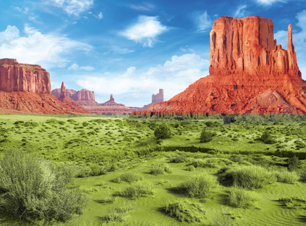 EUROGRAPHICS: Monument Valley: 1000 Piece Puzzle