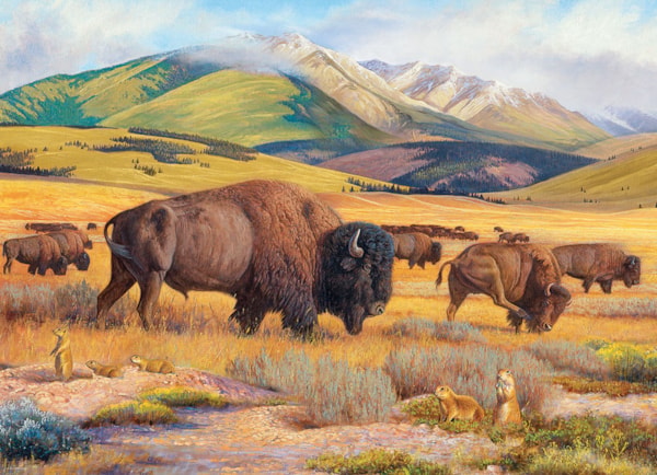 EUROGRAPHICS: Roaming the Plains: 1000 Piece Puzzle