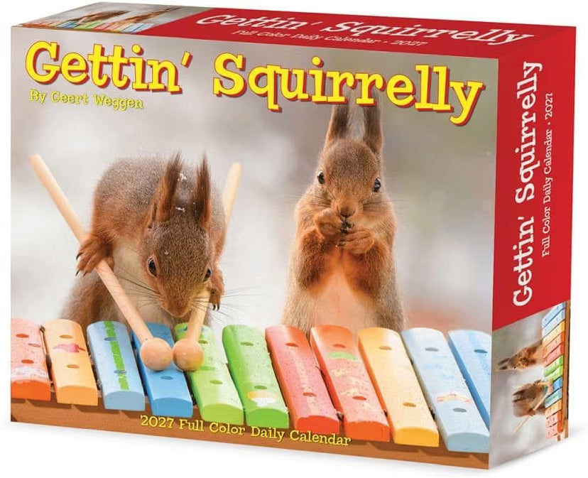 Gettin Squirrelly - 2027 Box Calendar | Willow Creek Press